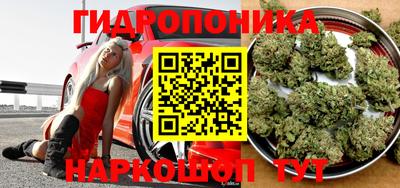 стаф Гатчина
