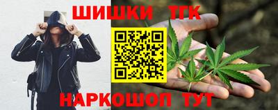 стаф Гатчина