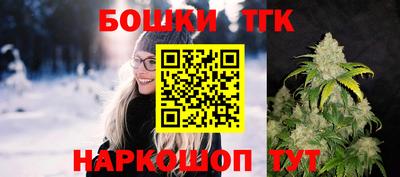 стаф Гатчина