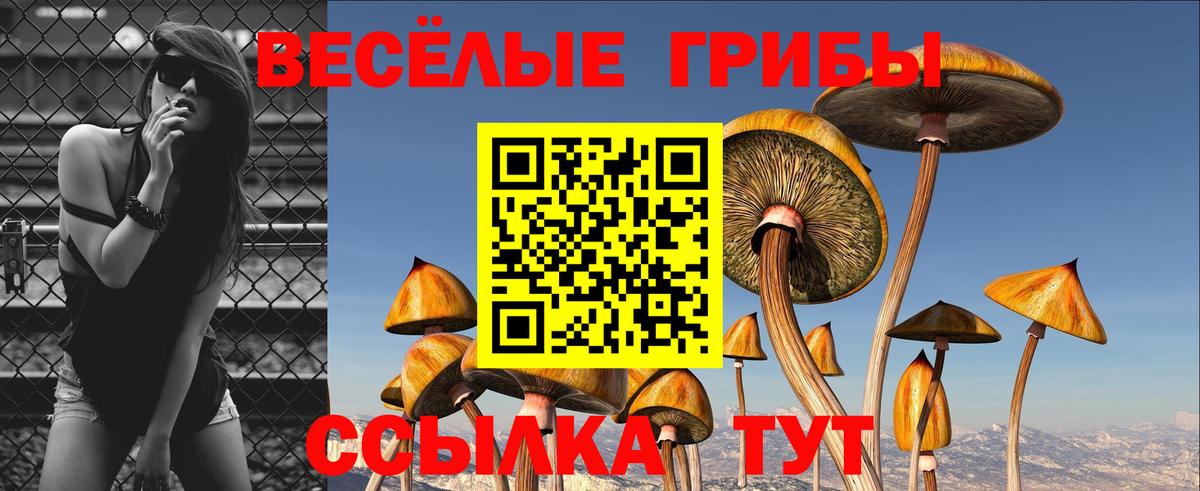 Псилоцибиновые грибы прущие грибы Нарткала