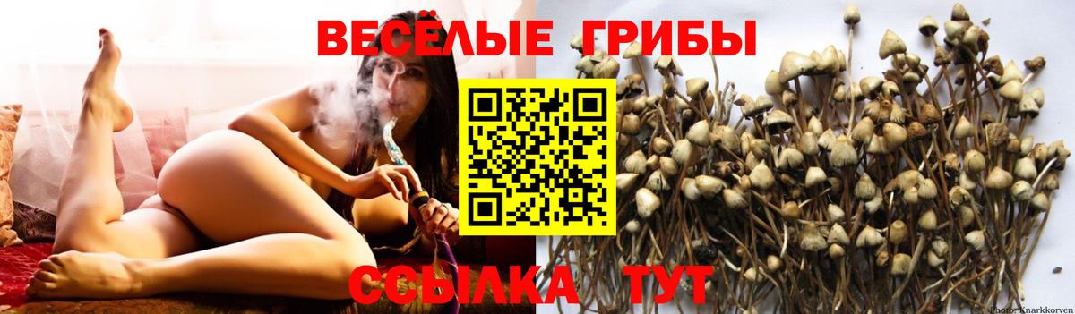 хочу наркоту  Вход с VPN  Нарткала  Галлюциногенные грибы ЛСД 